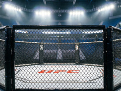 Нокаут в полутёплой: Волкановски сокрушил Евлоева в решающем поединке UFC