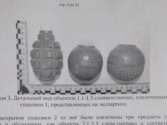 Тюремный приговор за нелегальное скопление гранат в Льговском районе