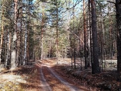 Иверская (Злата‑онучница) 26 октября: древние обычаи и запреты, которые стоит помнить