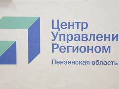 Центр управления регионом: за неделю зафиксировано 1 125 сообщений от жителей Пензы